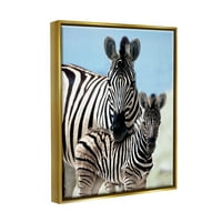 Stupell Industries felemelő zebra családi anya gyermek szavanna állatok Fényképes fémes arany úszó keretes vászon nyomtatott