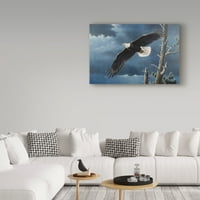 Védjegy Képzőművészet „szárnyaló szárnyak” vászon művészete: Wilhelm Goebel