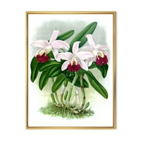 Designart 'White Vintage Orchide Flower i' Hagyományos keretes vászon fali művészet