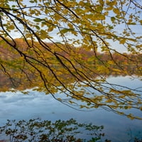 New York Állam. Nyugodt őszi reggel a zöld tó. Poszter nyomtatás Chris Murray