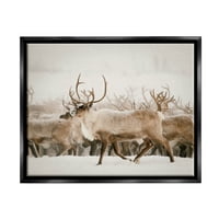 Stupell jávorszarvas havas téli jelenet állatok és rovarok fényképezés fekete úszó keretes művészeti nyomtatott fali